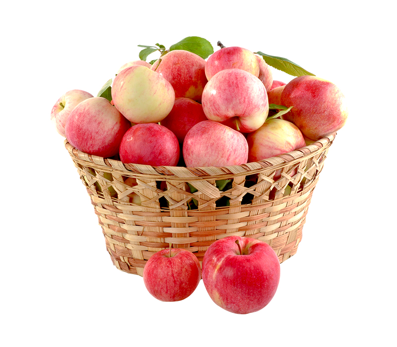 fruits