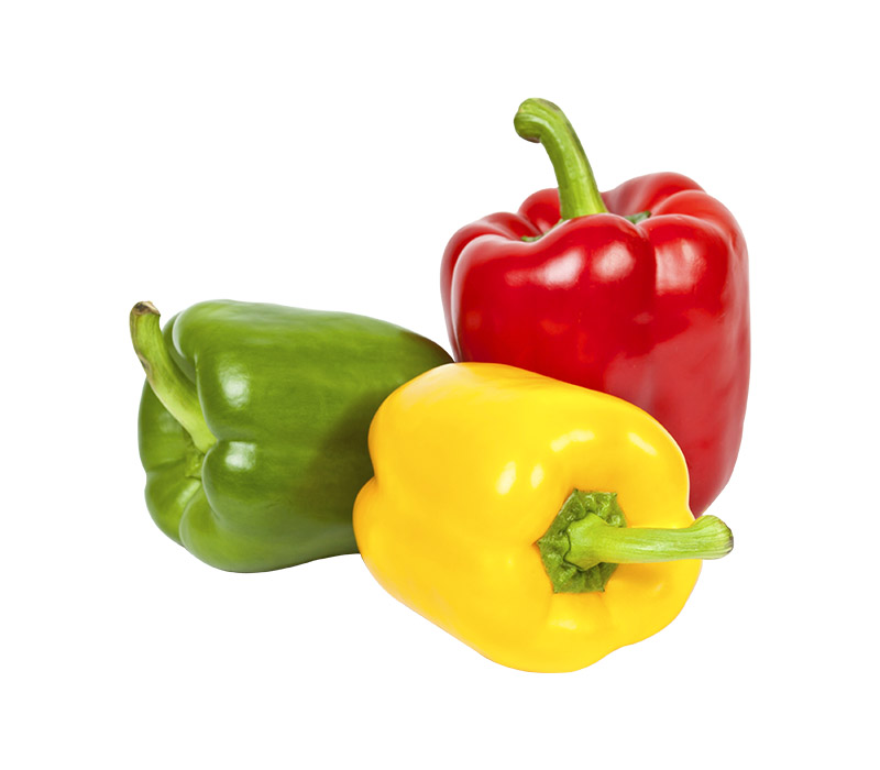 capsicum-chilli